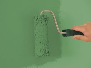 Die Kalkfarbe Grün von AURO kann einfach mit der Farbwalze aufgetragen werden und schützt vor Schimmel