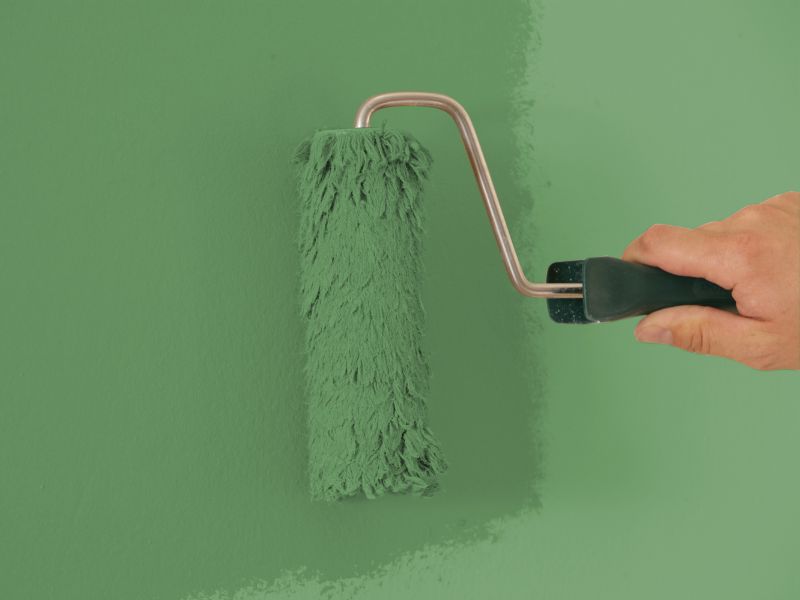 Die Kalkfarbe Grün von AURO kann einfach mit der Farbwalze aufgetragen werden und schützt vor Schimmel